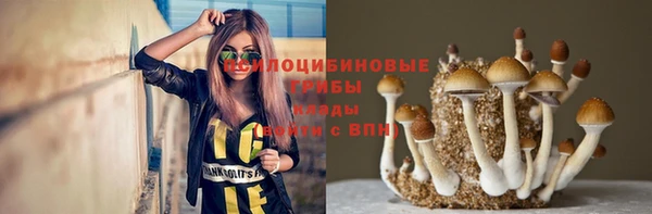соль ск Алексеевка