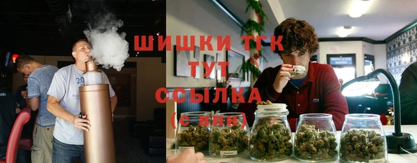 соль ск Алексеевка