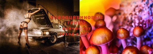 соль ск Алексеевка