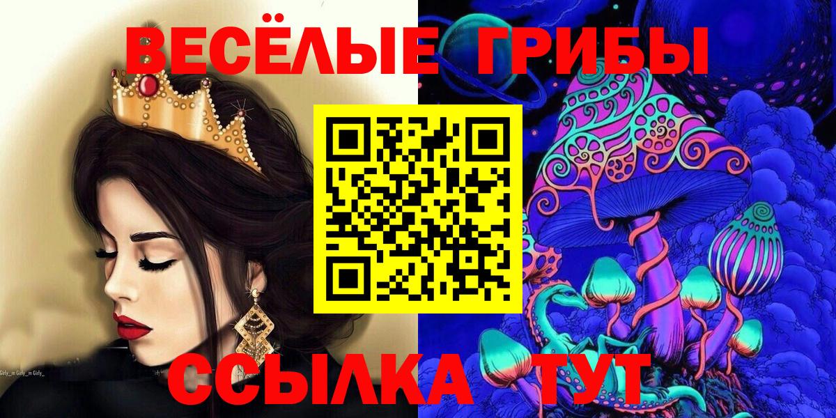 Галлюциногенные грибы Psilocybe  Вход с VPN  Махачкала 
