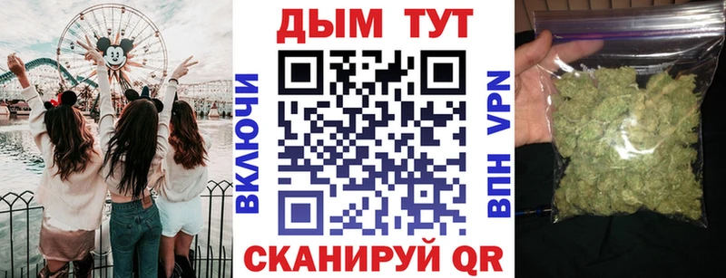 МАРИХУАНА семена  закладки  Махачкала 